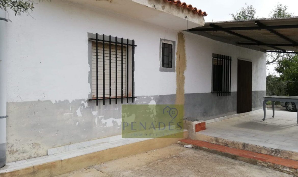 Property Gallery